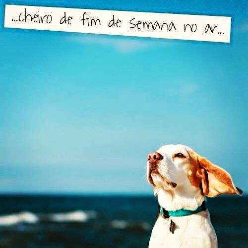 Confira o que vai acontecer neste fim de semana e venha participar!