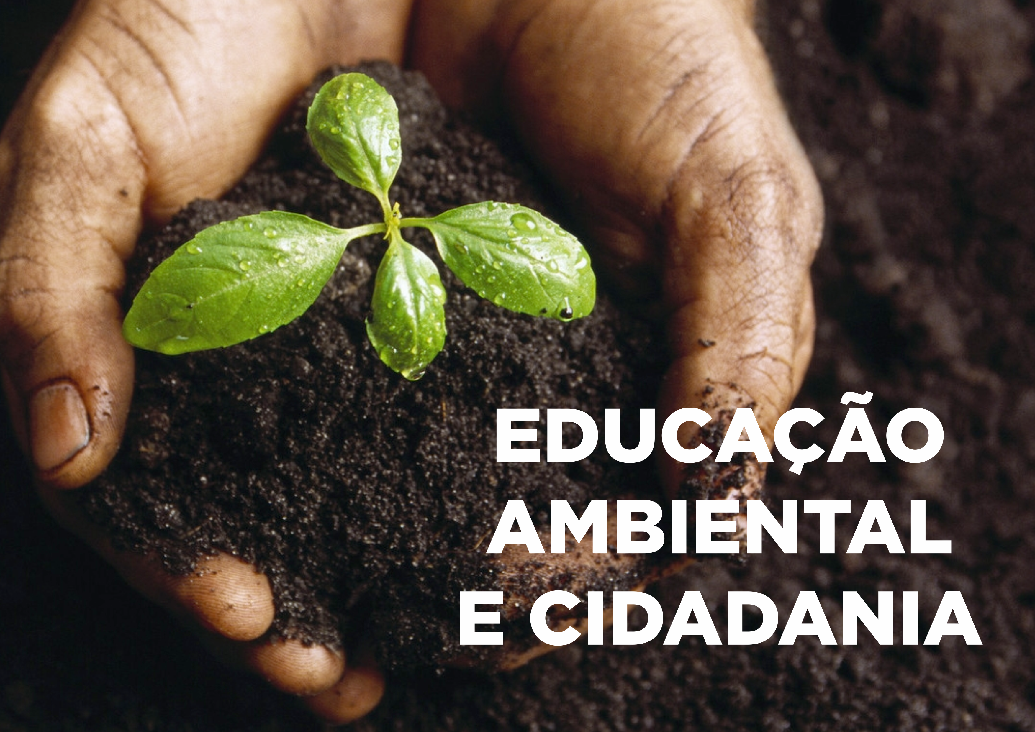 educação site