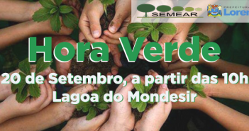 hora verde3