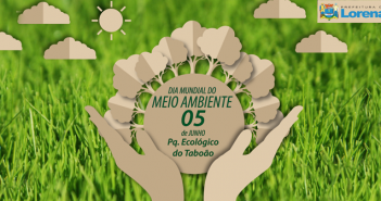 100- Dia do meio ambiente - site