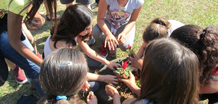 6Plantio de flores e árvores