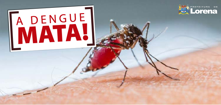 Resultado de imagem para dengue