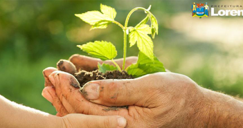 Dia Mundial do Meio Ambiente será celebrado com doação de mudas e conscientização na praça central