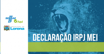 Declaração IRPJ MEI