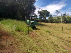 Parque Taboão (1)