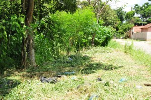 Limpeza aredores rio Taboão, Hepacaré (10)