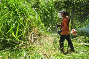 Limpeza aredores rio Taboão, Hepacaré (4)