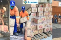 Lorena recebe aproximadamente 6 mil cestas básicas para auxiliar famílias durante a pandemia da COVID-19 Design sem nome