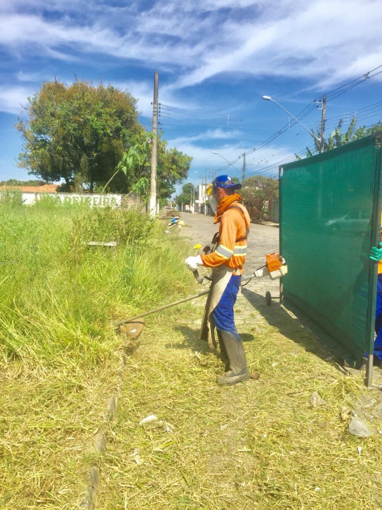 Teixera Lote Vila Nunes (3)