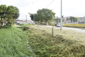 Lipeza Beirndo Rio Mandi - Bairro da Cruz (6)