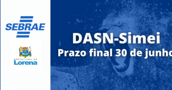 DASN Simei SEBRAE