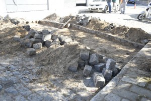 Praça da Biblia, poda de arvore e retirada de raiz (4)