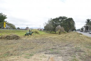 Paque Rodovia - Limpeza de Terreno (1)