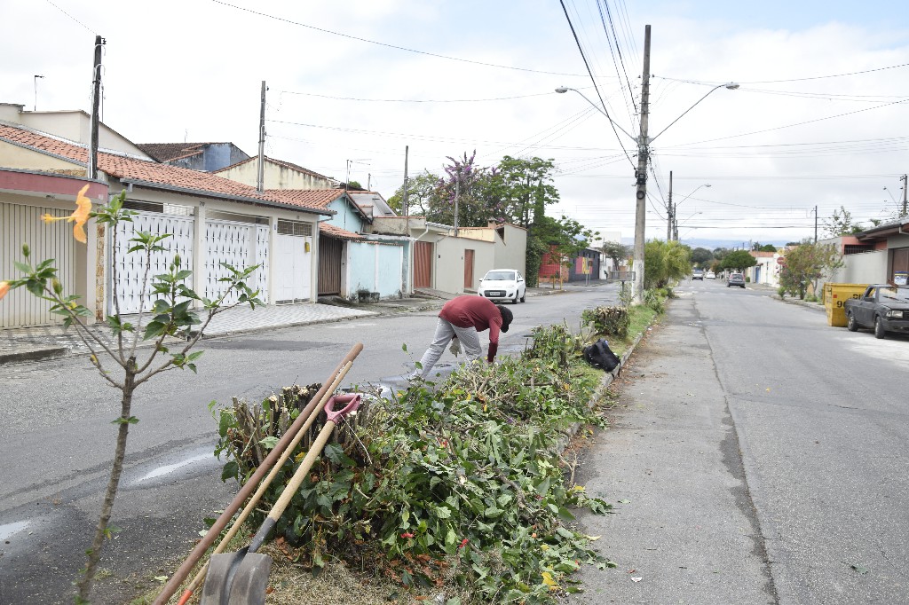 Poda de Árvores - Vila Nunes (2)