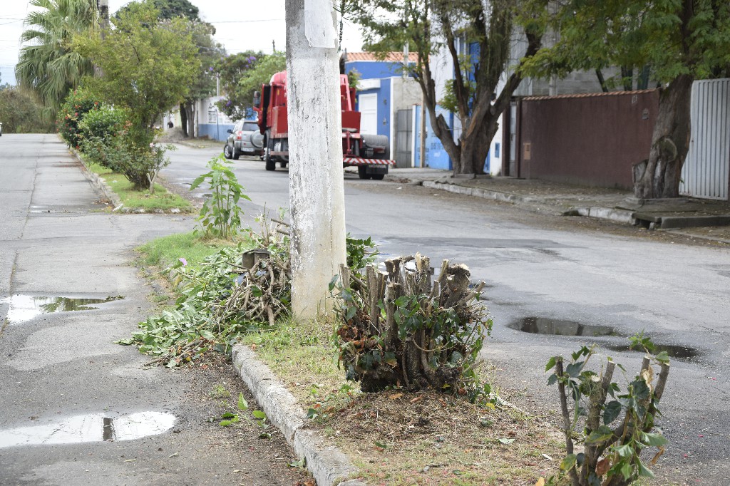 Poda de Árvores - Vila Nunes (4)