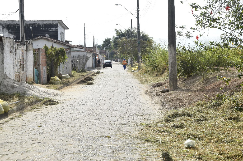 Vila Brito - Roçada e Limpeza (5)