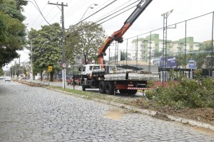 obras peixoto (5)