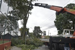 obras peixoto (7)