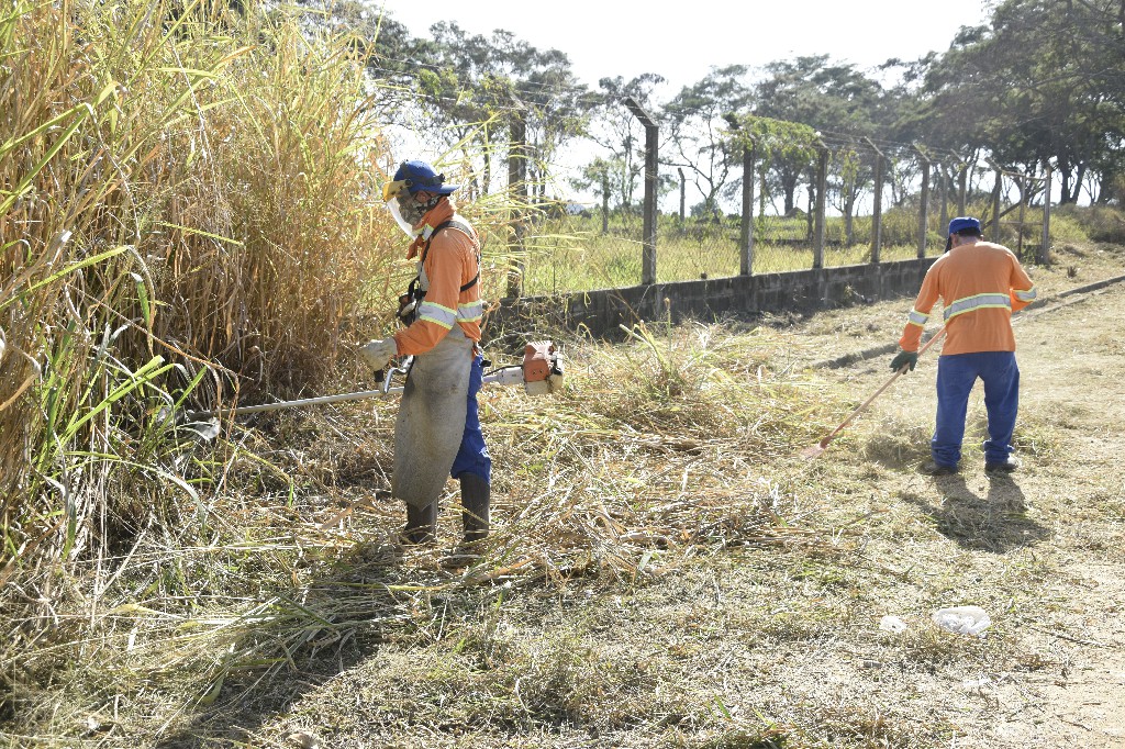 roçada no mondesir margem da dutra (2)