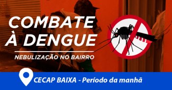 capa-dengue