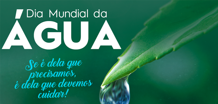 site-dia-agua-22